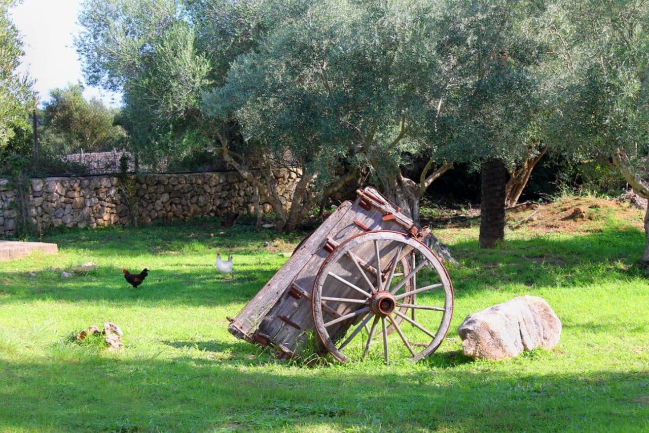 6 soveværelse Finca/Landehus til salg i Canyamel med swimmingpool - € 2.200.000 (Ref: 7375337)