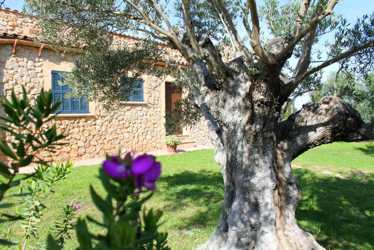 6 soveværelse Finca/Landehus til salg i Canyamel med swimmingpool - € 2.200.000 (Ref: 7375337)