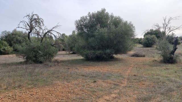 Finca/Maison de Campagne à vendre à Costitx - 370 000 € (Ref: 7375352)