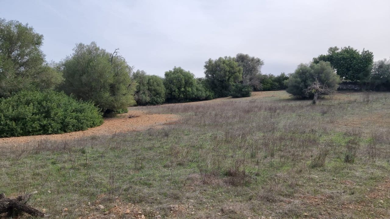 Finca/Landehus til salg i Costitx - € 370.000 (Ref: 7375352)