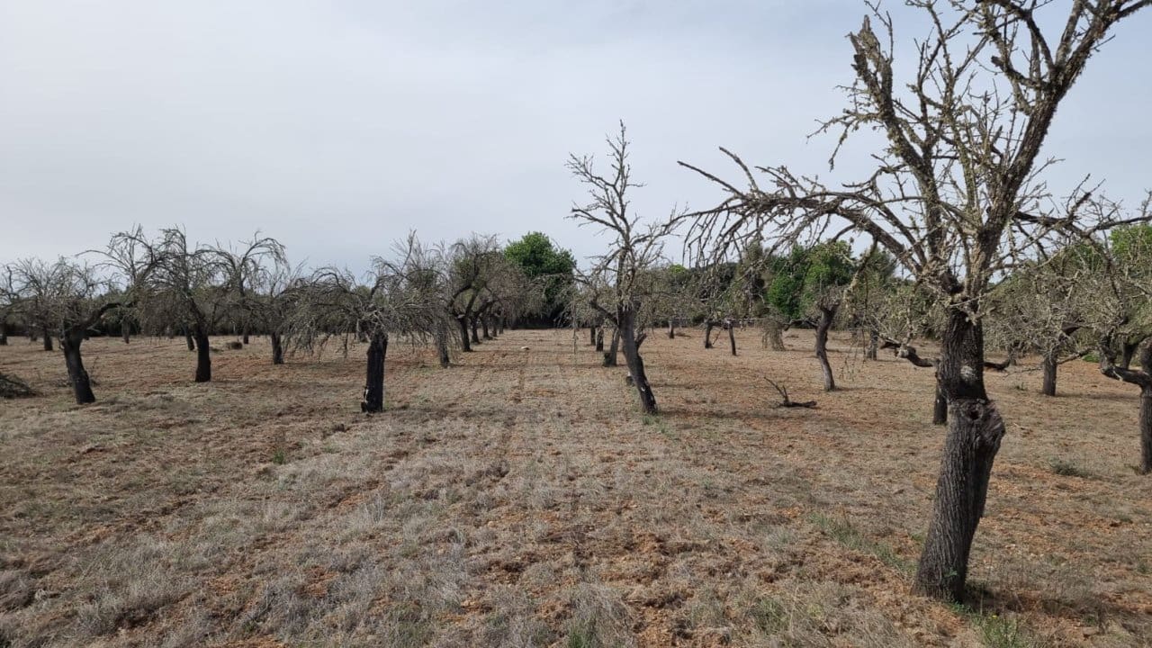 Finca/Landehus til salg i Costitx - € 370.000 (Ref: 7375352)