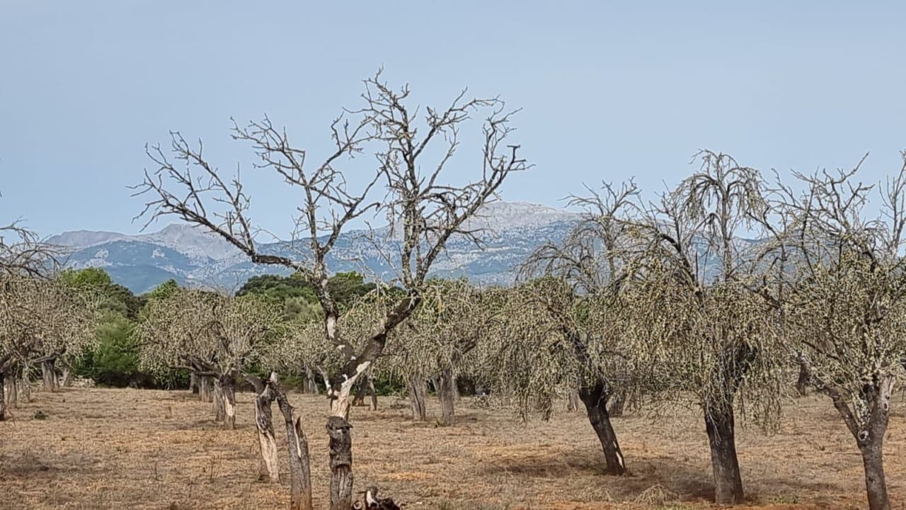 Finca/Landehus til salg i Costitx - € 370.000 (Ref: 7375352)