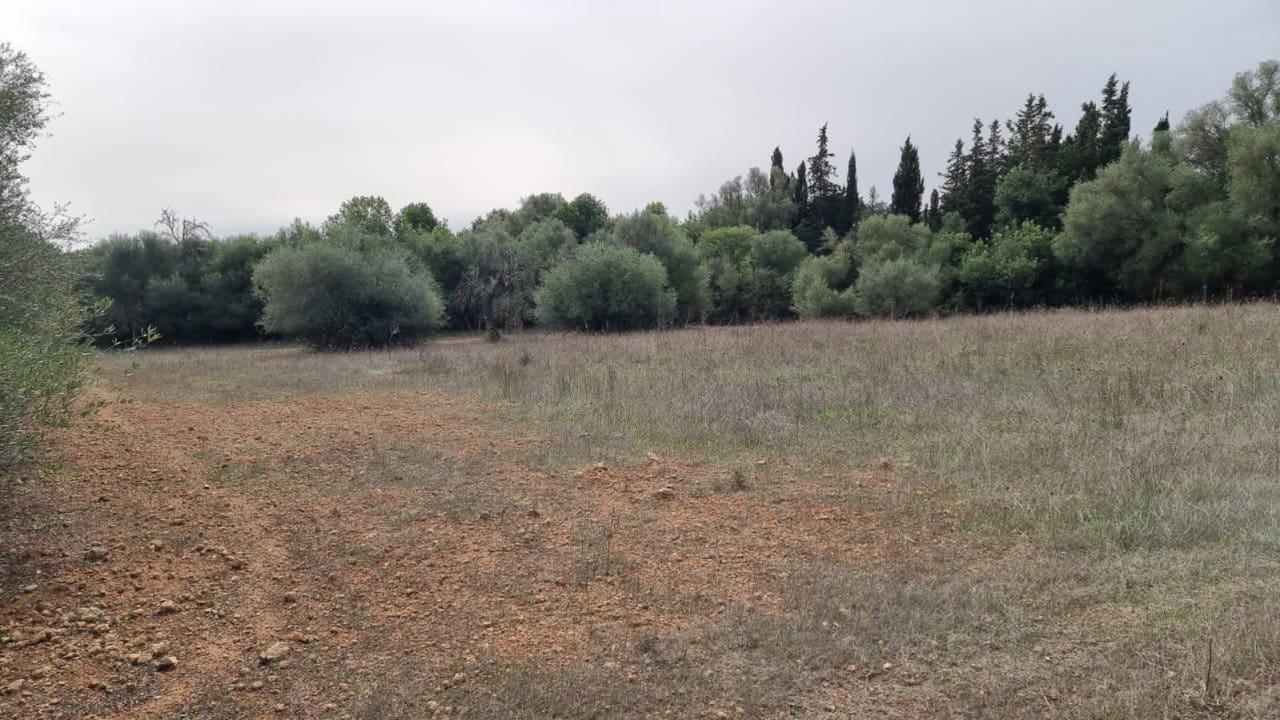 Finca/Landehus til salg i Costitx - € 370.000 (Ref: 7375352)