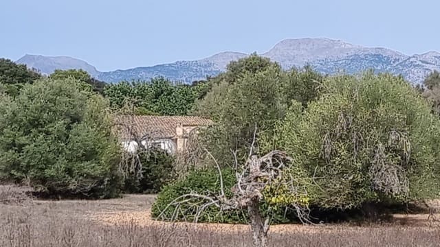 Finca/Maison de Campagne à vendre à Costitx - 370 000 € (Ref: 7375352)