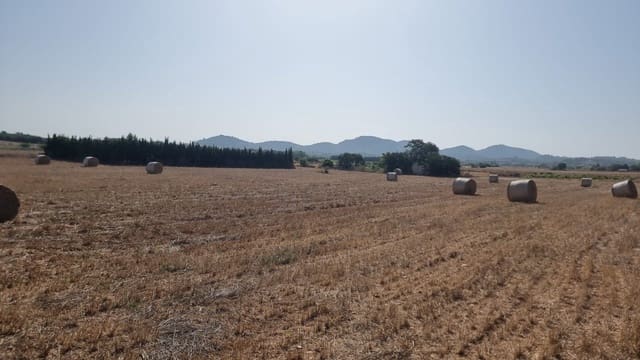 Finca/Country House for sale in Manacor - € 445,000 (Ref: 8209947)