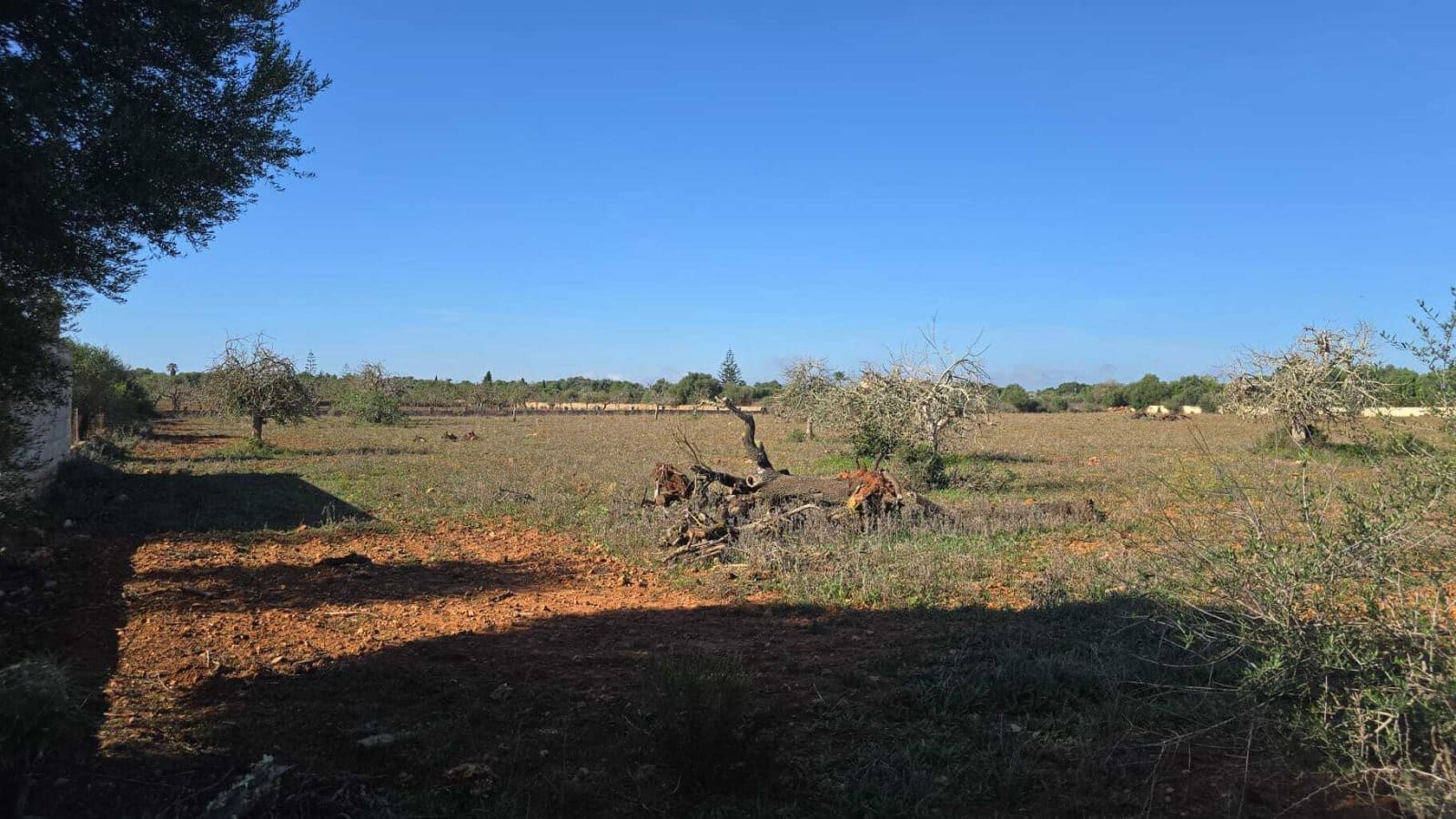 3 Zimmer Finca/Landgut zu verkaufen in Manacor mit Pool - 390.000 € (Ref: 8537958)