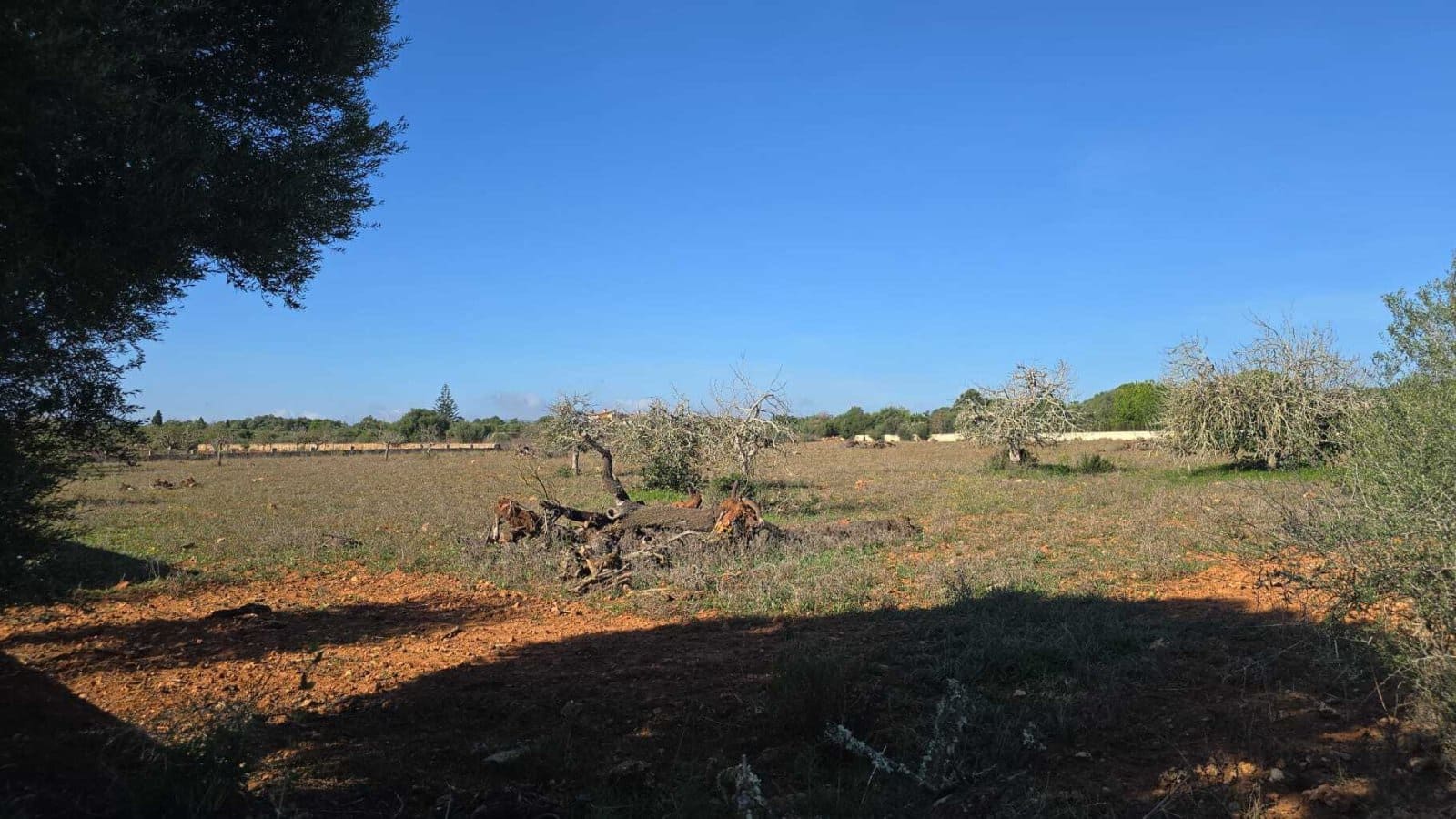 3 Zimmer Finca/Landgut zu verkaufen in Manacor mit Pool - 390.000 € (Ref: 8537958)