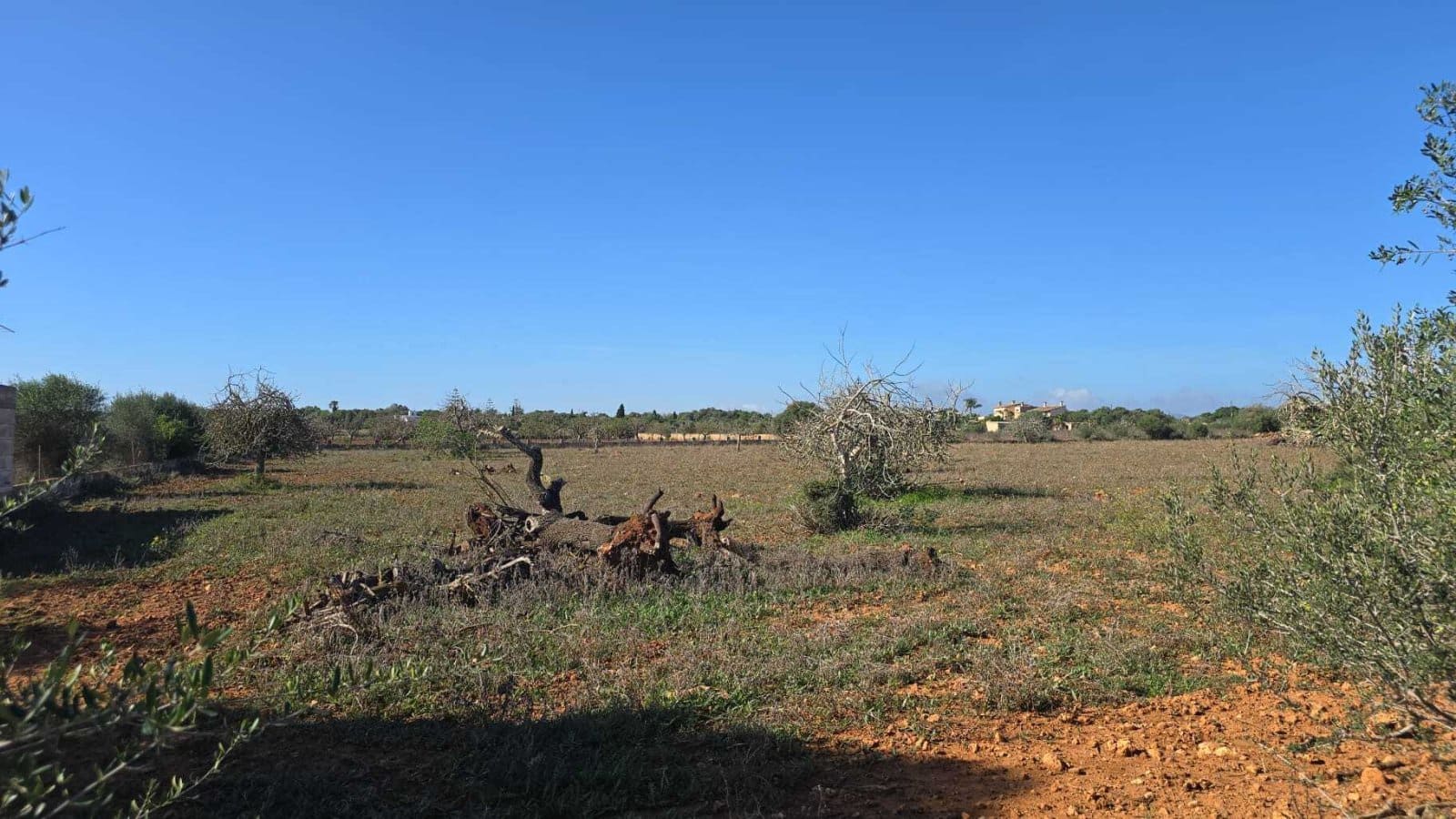 3 Zimmer Finca/Landgut zu verkaufen in Manacor mit Pool - 390.000 € (Ref: 8537958)