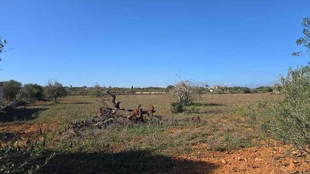 3 makuuhuone Maalaistalo myytävänä paikassa Manacor mukana uima-altaan - 390 000 € (Ref: 8537958)