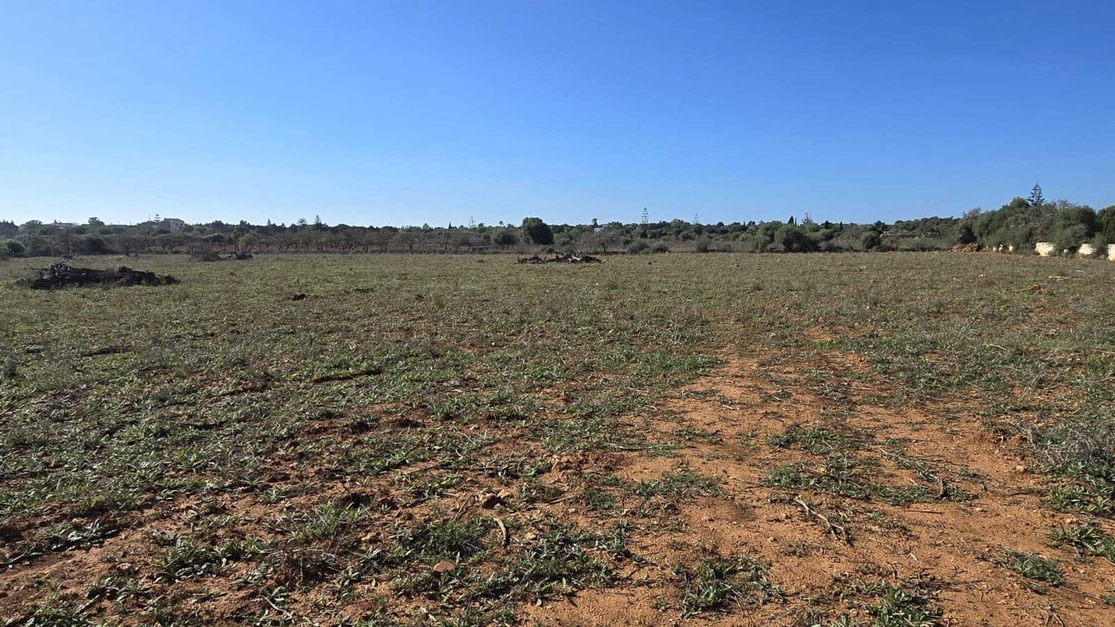 3 Zimmer Finca/Landgut zu verkaufen in Manacor mit Pool - 390.000 € (Ref: 8537958)