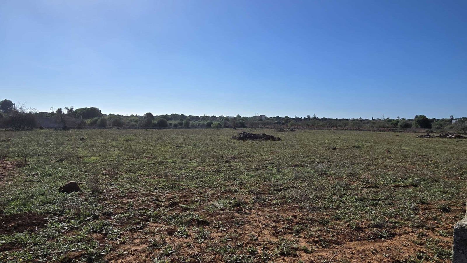 3 Zimmer Finca/Landgut zu verkaufen in Manacor mit Pool - 390.000 € (Ref: 8537958)