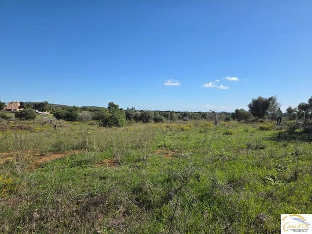 Finca/Landehus til salg i Portocristo / Port de Manacor, Manacor - € 390.000 (Ref: 9066669)