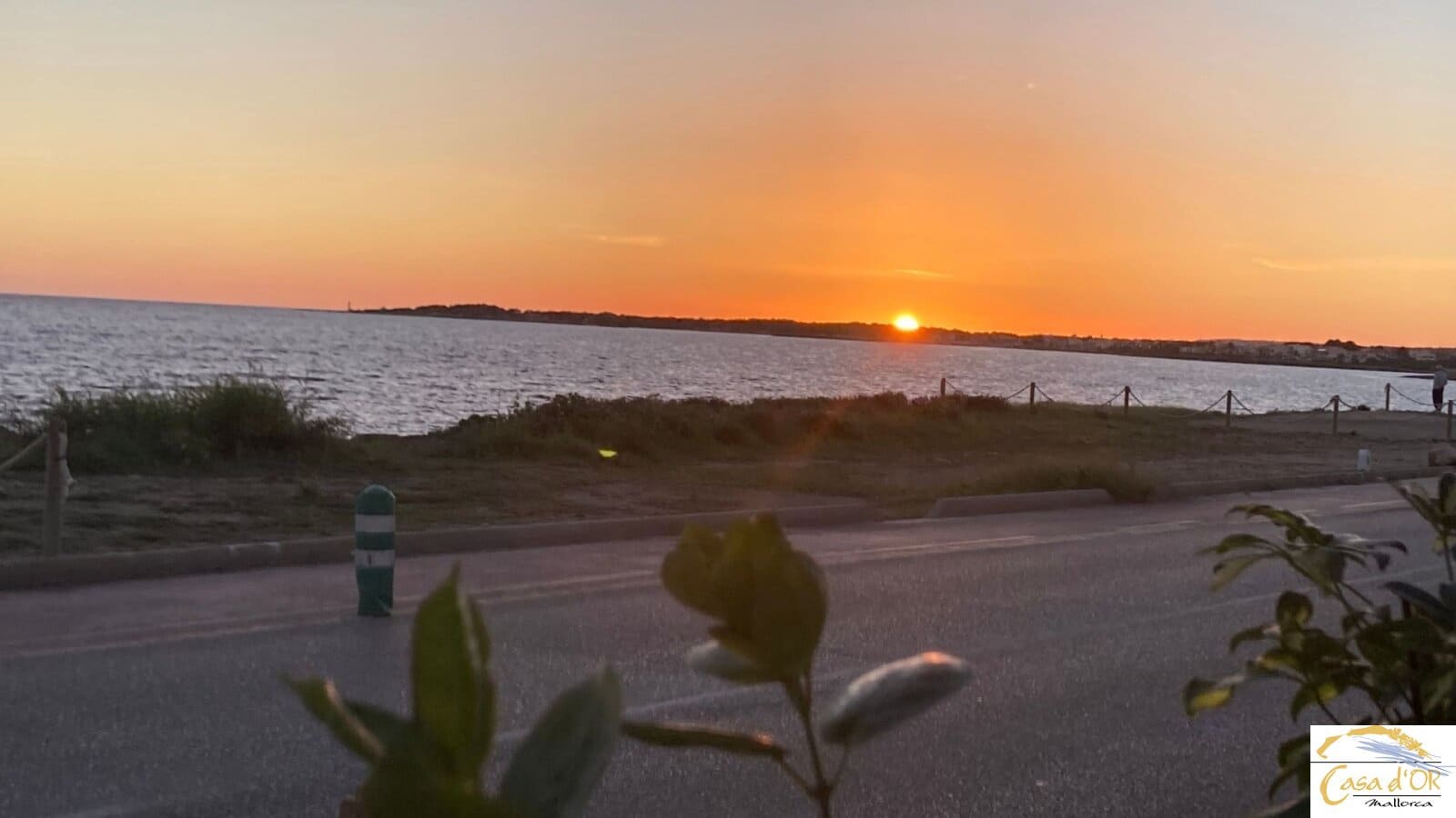 3 chambre Villa/Maison à vendre à Sa Rapita / La Rapita avec piscine garage - 895 000 € (Ref: 9784953)