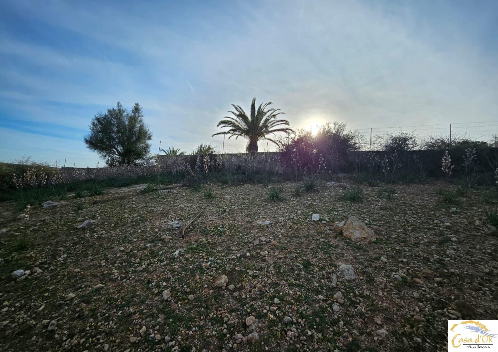 4 camera da letto Finca/Casa di Campagna in vendita in Portocristo / Port de Manacor con piscina - 1.750.000 € (Rif: 9856146)