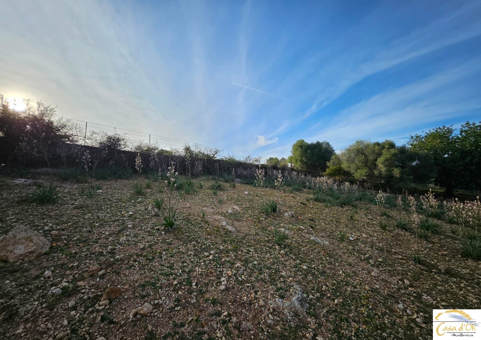 4 camera da letto Finca/Casa di Campagna in vendita in Portocristo / Port de Manacor con piscina - 1.750.000 € (Rif: 9856146)