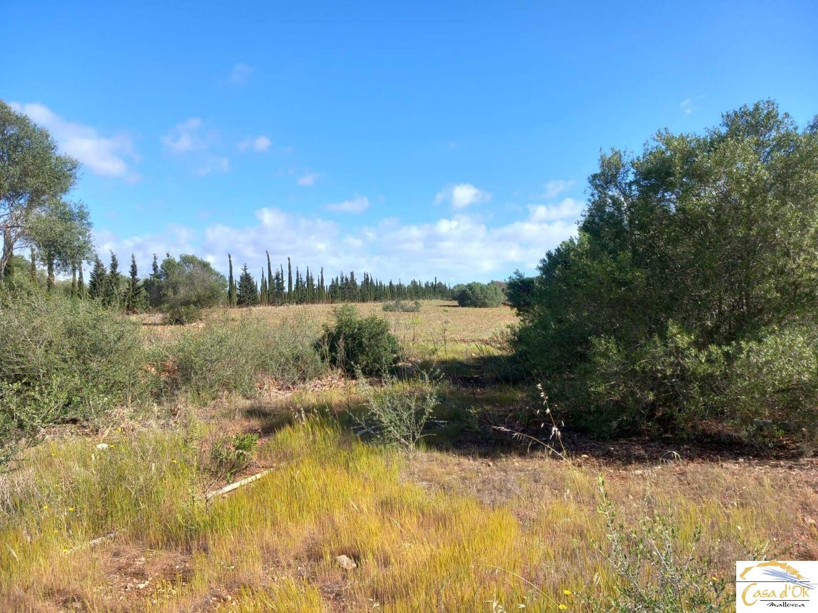 4 sovrum Finca/Hus på landet till salu i Manacor - 700 000 € (Ref: 9861032)