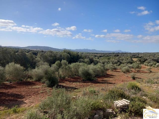 4 sovrum Finca/Hus på landet till salu i Manacor - 700 000 € (Ref: 9861032)