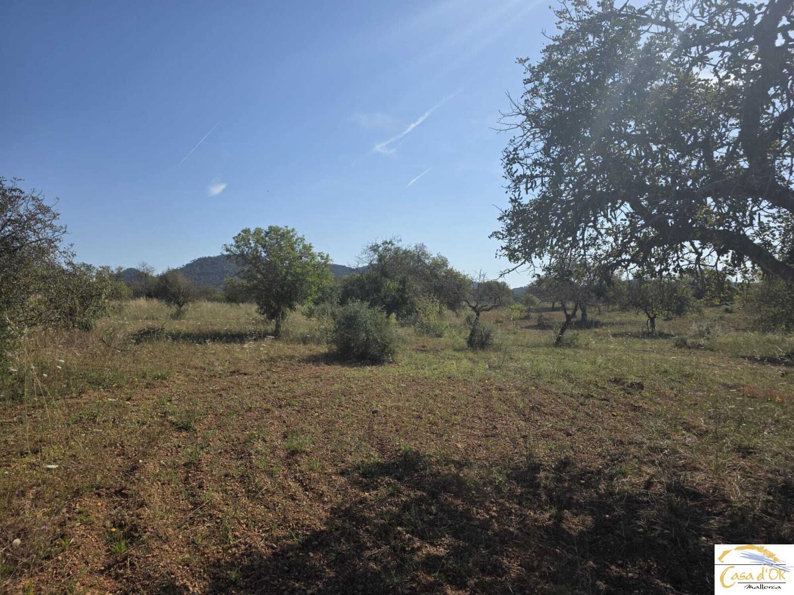 Bouwgrond te koop in Sant Llorenc des Cardassar - € 450.000 (Ref: 9863453)