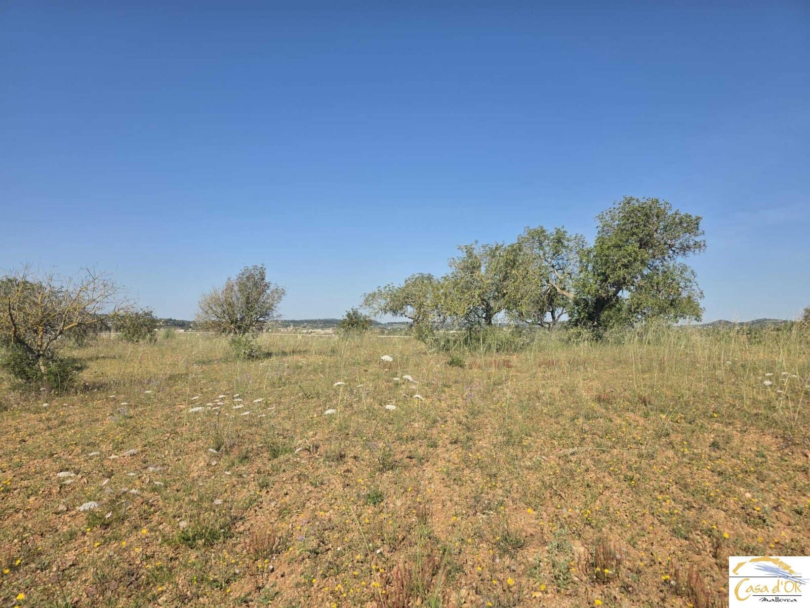 Bouwgrond te koop in Sant Llorenc des Cardassar - € 450.000 (Ref: 9863453)