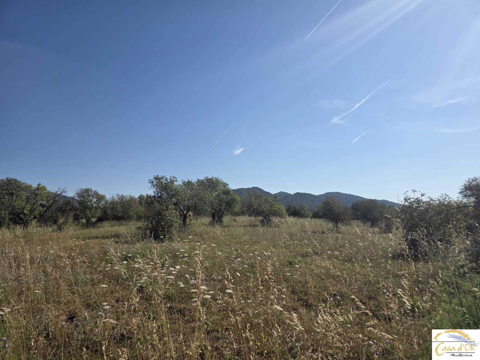 Bouwgrond te koop in Sant Llorenc des Cardassar - € 450.000 (Ref: 9863453)
