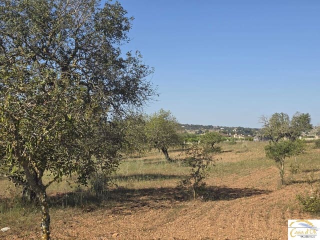 Bouwgrond te koop in Sant Llorenç des Cardassar - € 450.000 (Ref: 9863453)