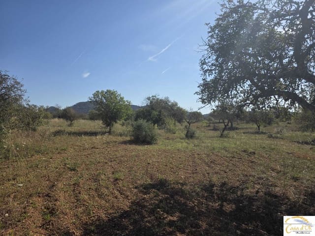 Bouwgrond te koop in Sant Llorenç des Cardassar - € 450.000 (Ref: 9863453)
