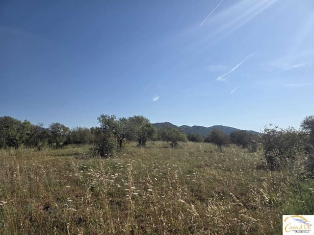 Bouwgrond te koop in Sant Llorenç des Cardassar - € 450.000 (Ref: 9863453)