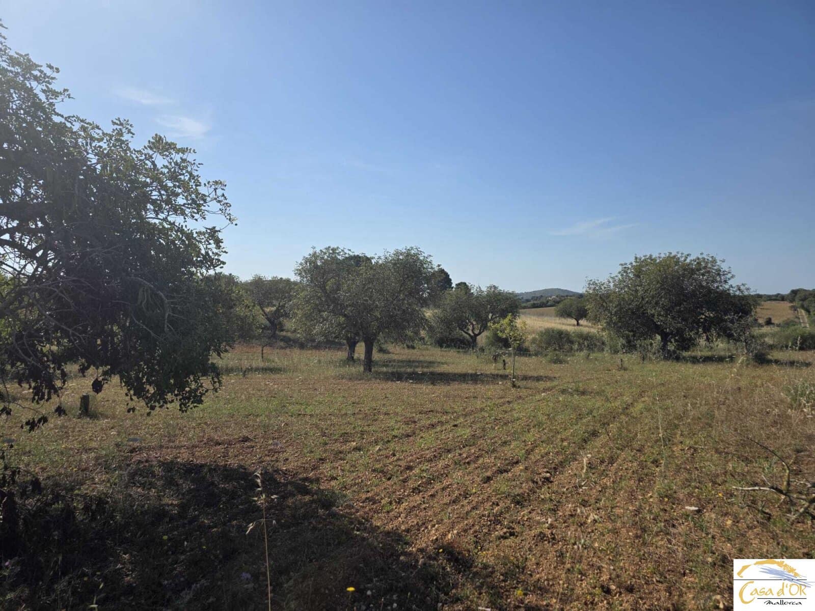 Bouwgrond te koop in Sant Llorenc des Cardassar - € 450.000 (Ref: 9863453)