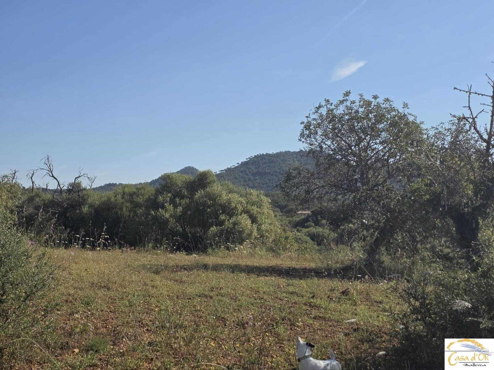 Bouwgrond te koop in Sant Llorenc des Cardassar - € 450.000 (Ref: 9863453)