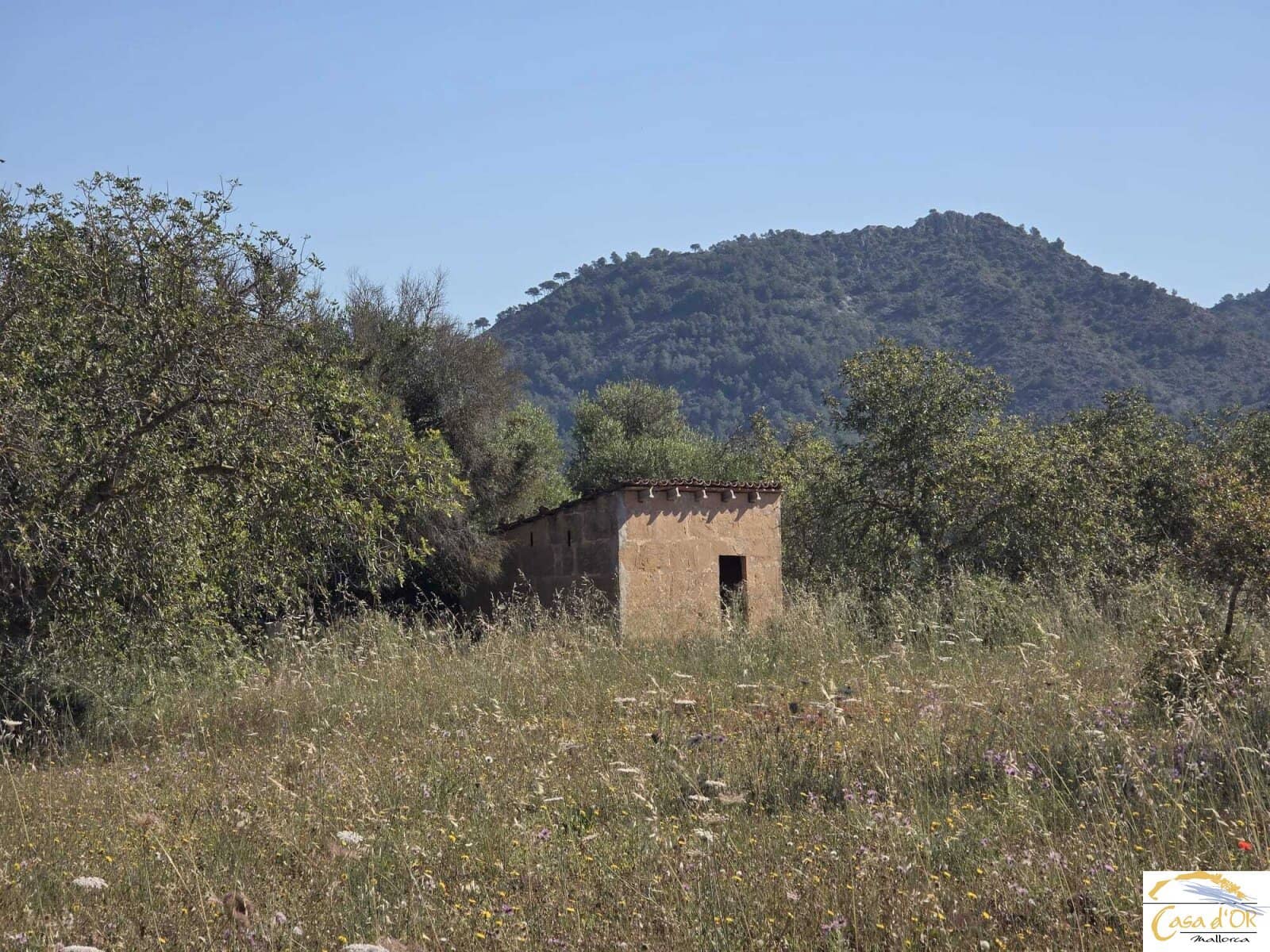 Bouwgrond te koop in Sant Llorenc des Cardassar - € 450.000 (Ref: 9863453)