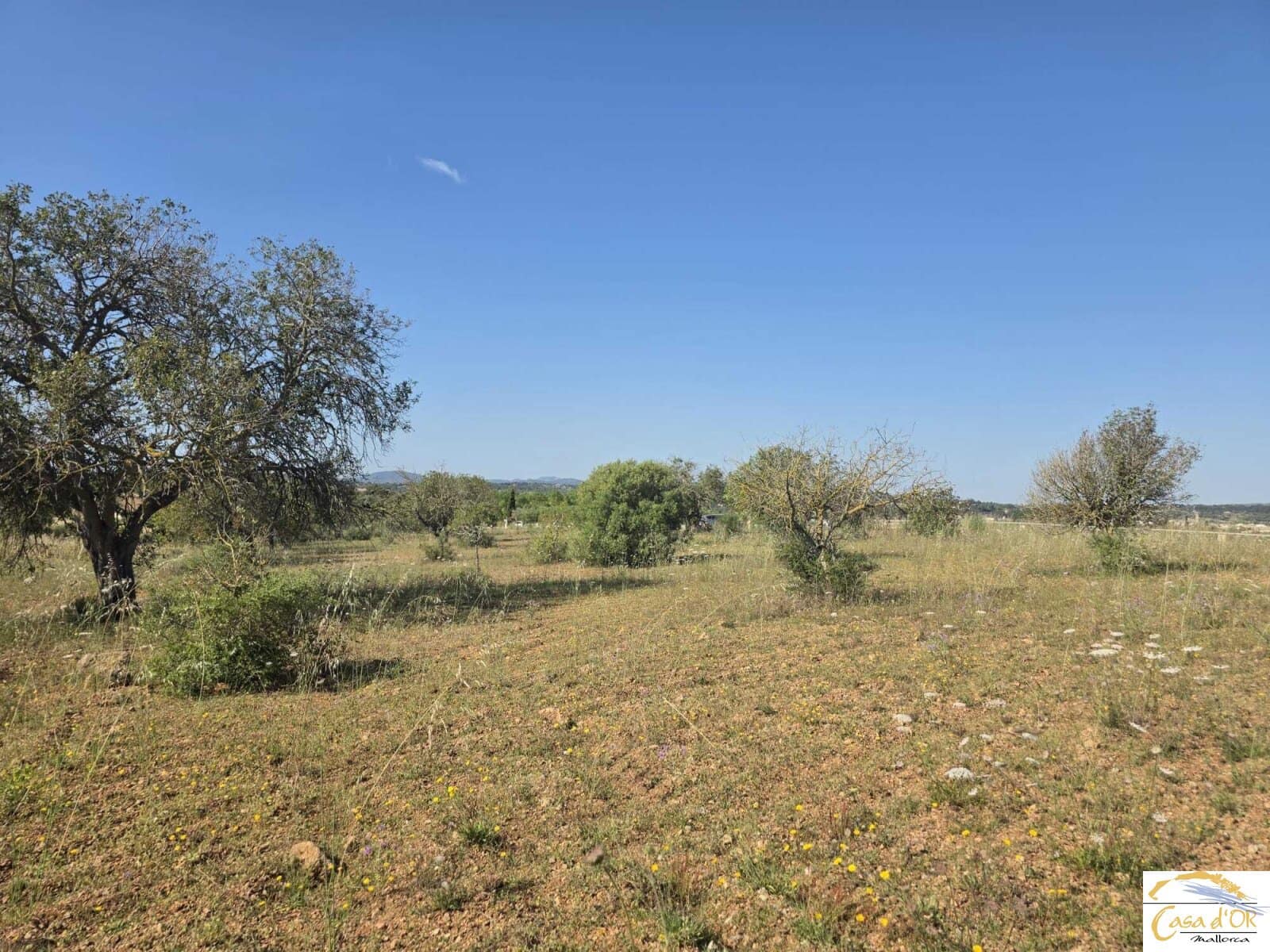 Bouwgrond te koop in Sant Llorenc des Cardassar - € 450.000 (Ref: 9863453)
