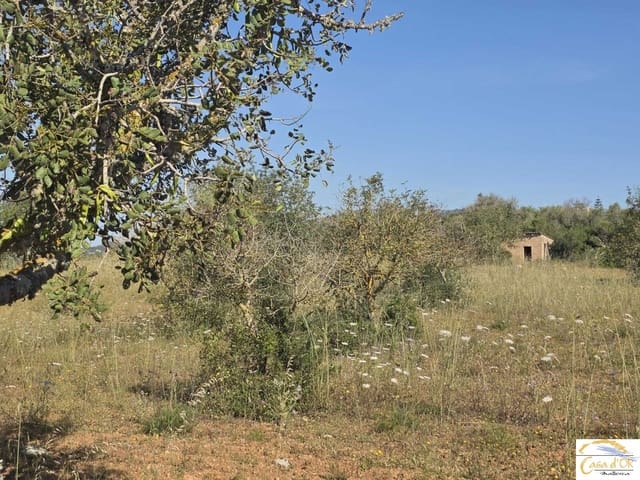 Bouwgrond te koop in Sant Llorenç des Cardassar - € 450.000 (Ref: 9863453)