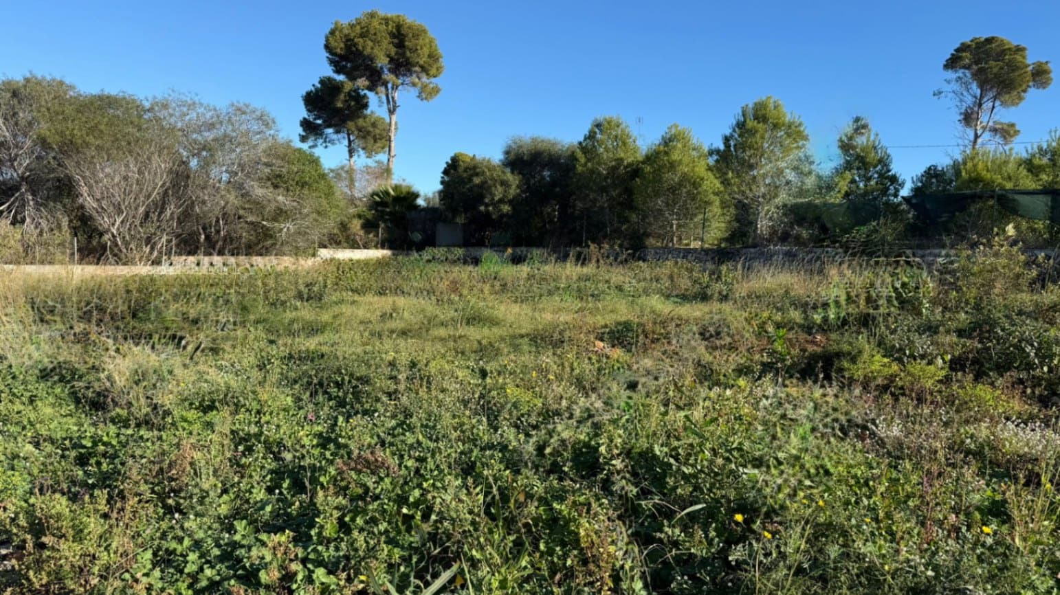 Terreno para Construção para venda em Pinosol - 360 000 € (Ref: 9474498)
