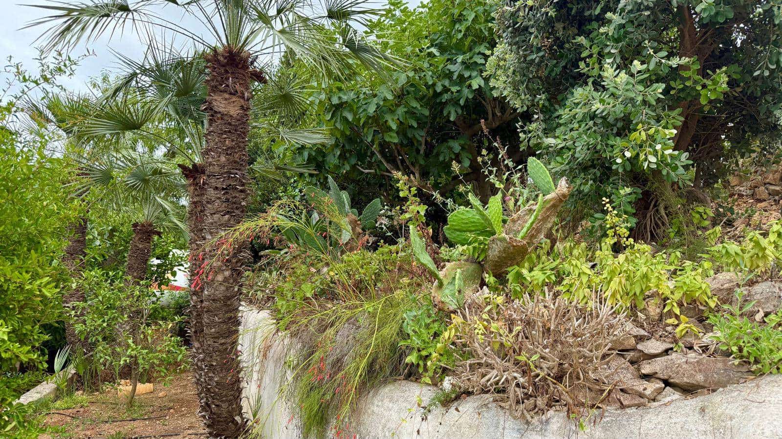 5 soverom Villa til salgs i Javea / Xabia - € 970 000 (Ref: 9474502)