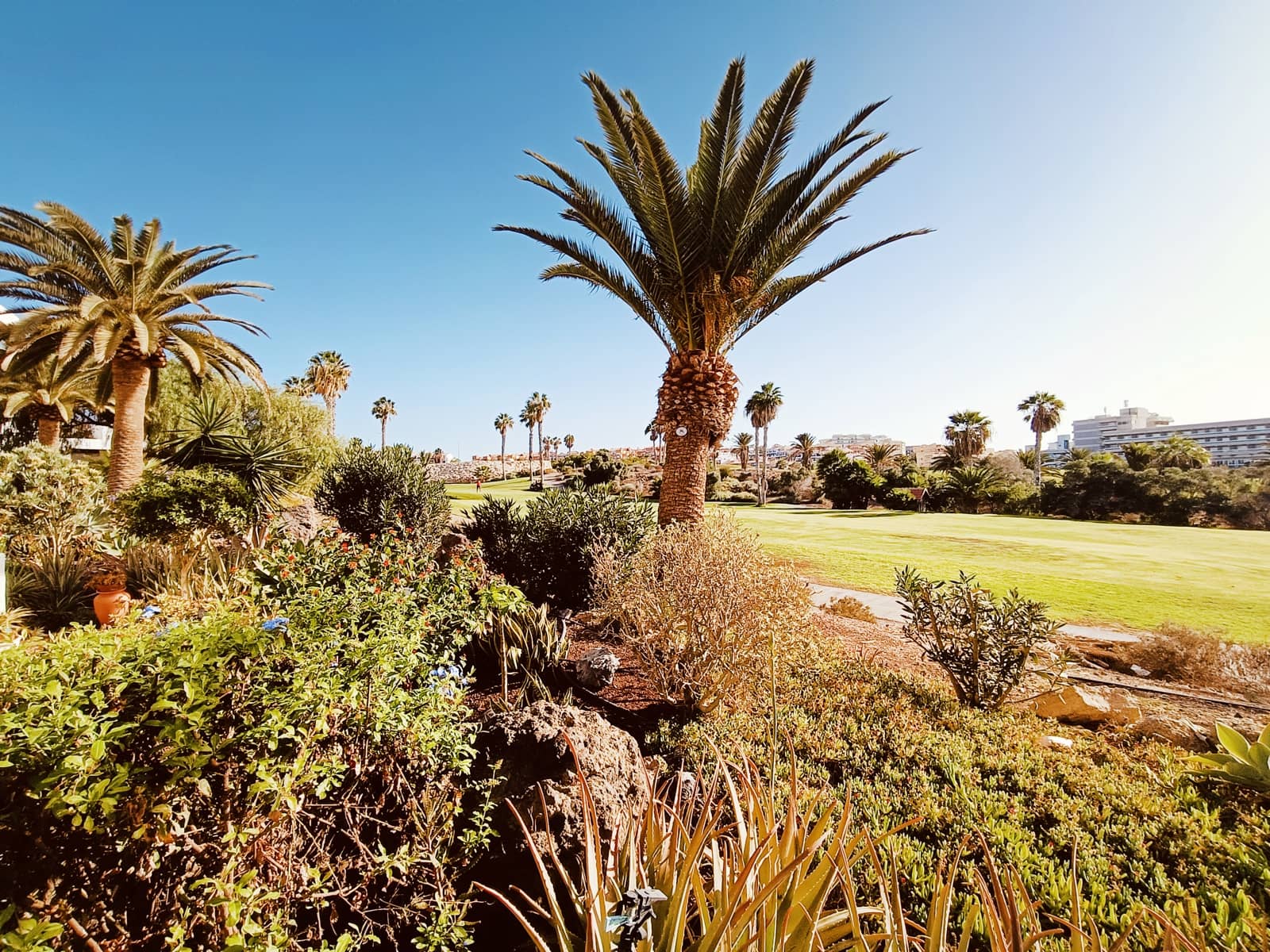 2 bedroom Apartment for sale in Amarilla Golf with pool - € 269,900 (Ref: 8533791)