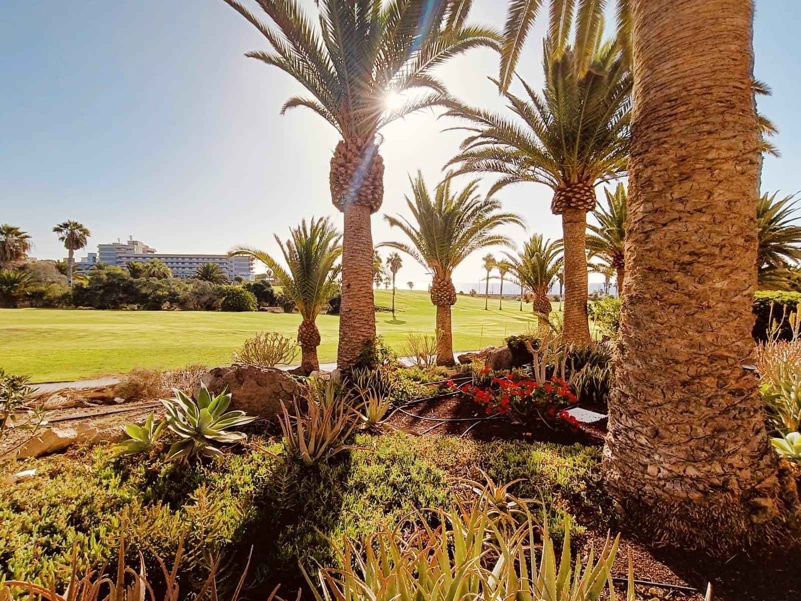 2 bedroom Apartment for sale in Amarilla Golf with pool - € 269,900 (Ref: 8533791)