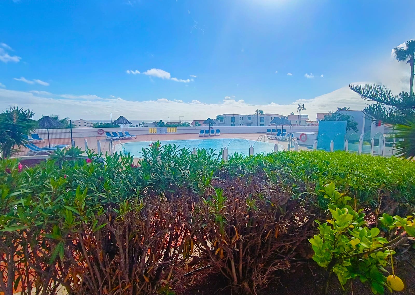 1 soveværelse Lejlighed til salg i Amarilla Golf med swimmingpool - € 220.000 (Ref: 9219768)