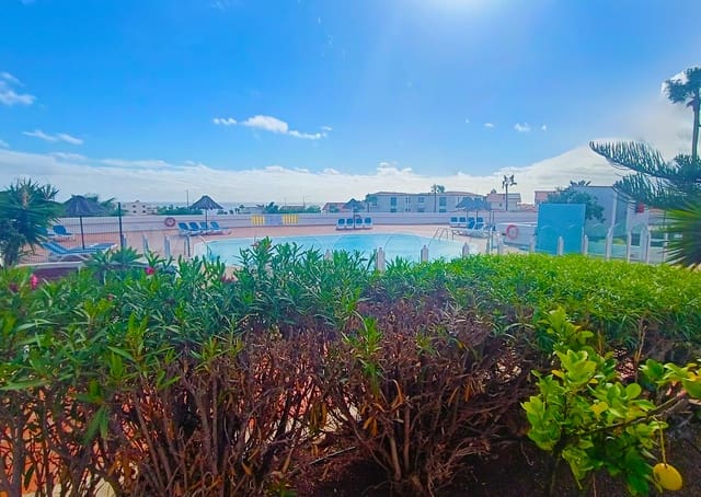 1 soveværelse Lejlighed til salg i Amarilla Golf, San Miguel de Abona med swimmingpool - € 220.000 (Ref: 9219768)