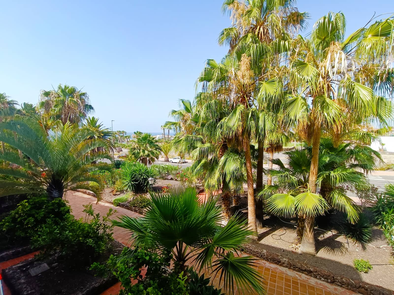1 Zimmer Apartment zu verkaufen in Amarilla Golf mit Pool - 197.500 € (Ref: 9866680)