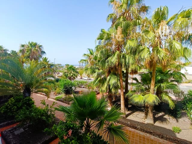 1 Zimmer Apartment zu verkaufen in Amarilla Golf, San Miguel de Abona mit Pool - 197.500 € (Ref: 9866680)