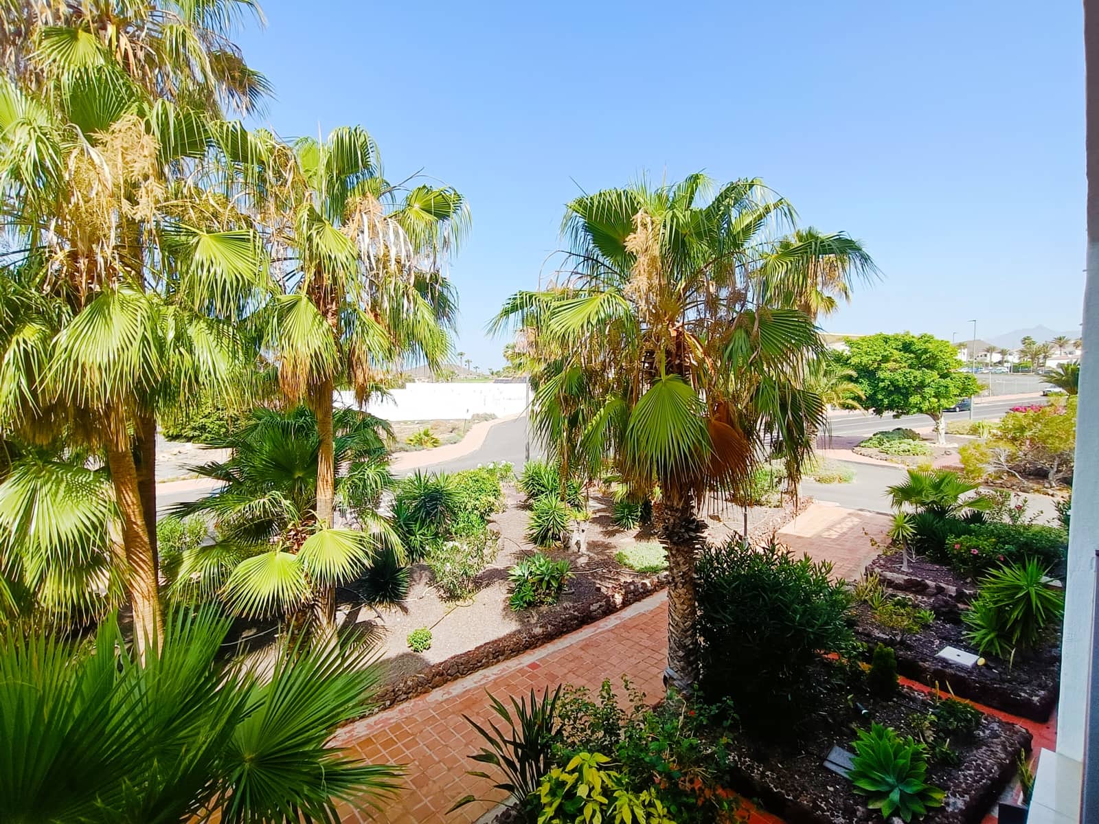 1 Zimmer Apartment zu verkaufen in Amarilla Golf mit Pool - 197.500 € (Ref: 9866680)