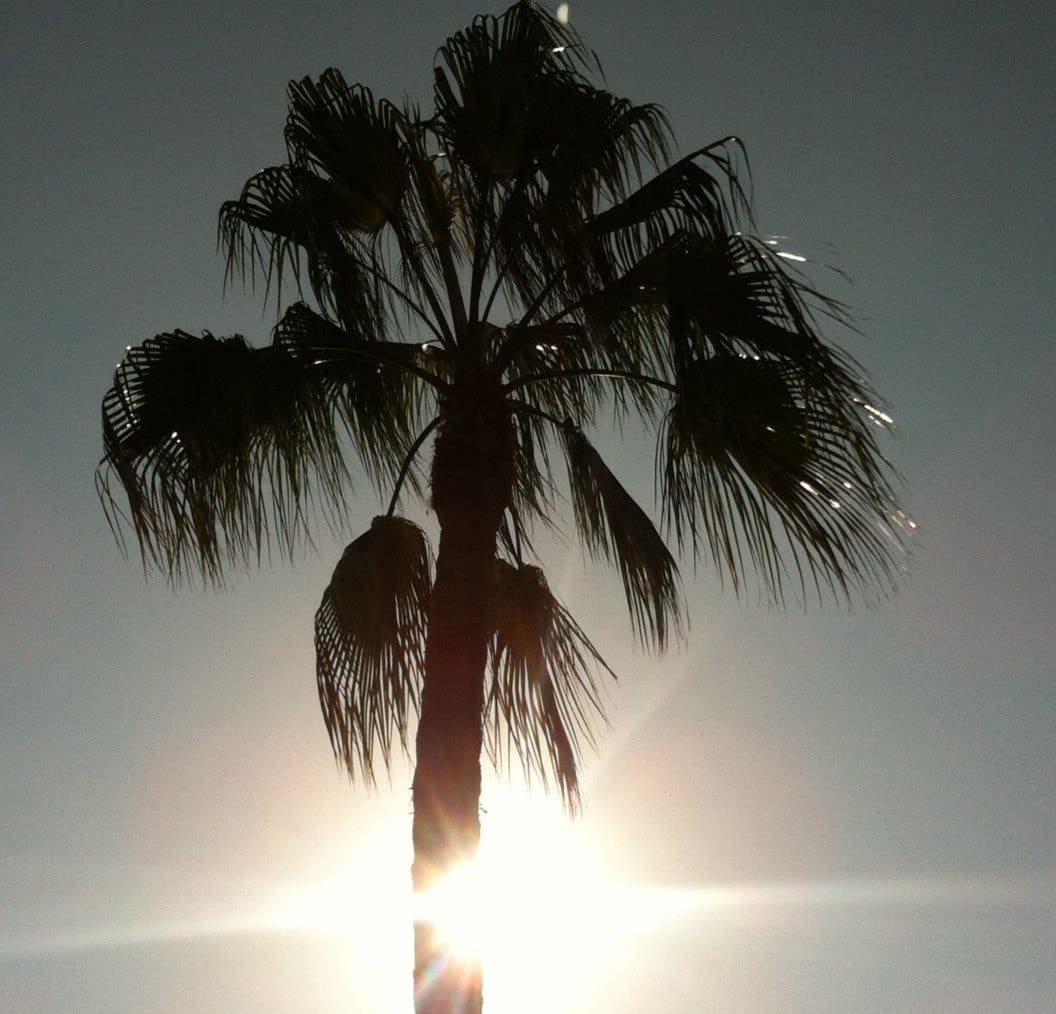 4 camera da letto Villa in vendita in Alcossebre con piscina garage - 690.000 € (Rif: 5144227)