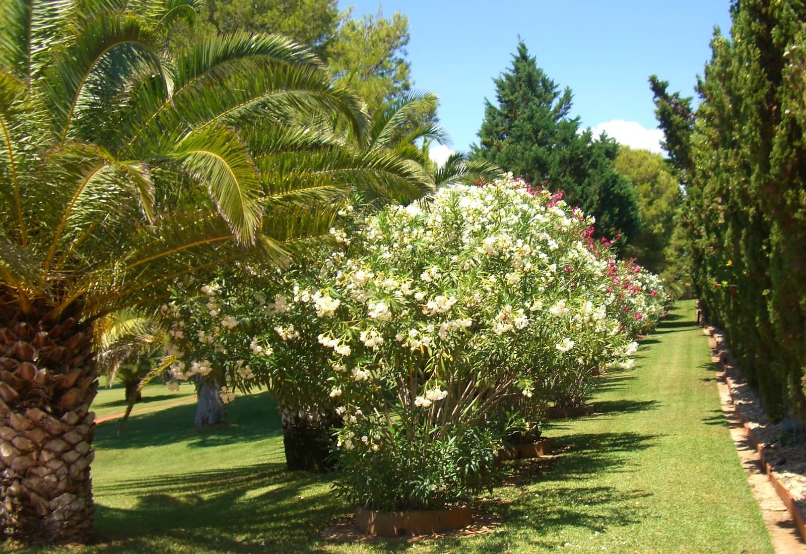 4 camera da letto Villa in vendita in Alcossebre con piscina garage - 690.000 € (Rif: 5144227)