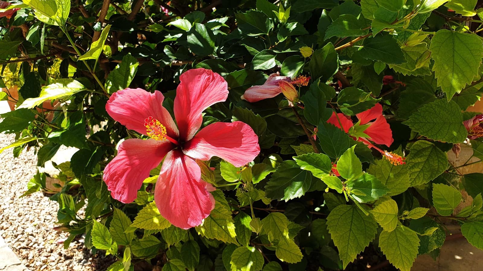 Villa til salg i Alcossebre med swimmingpool garage - € 395.000 (Ref: 6119663)