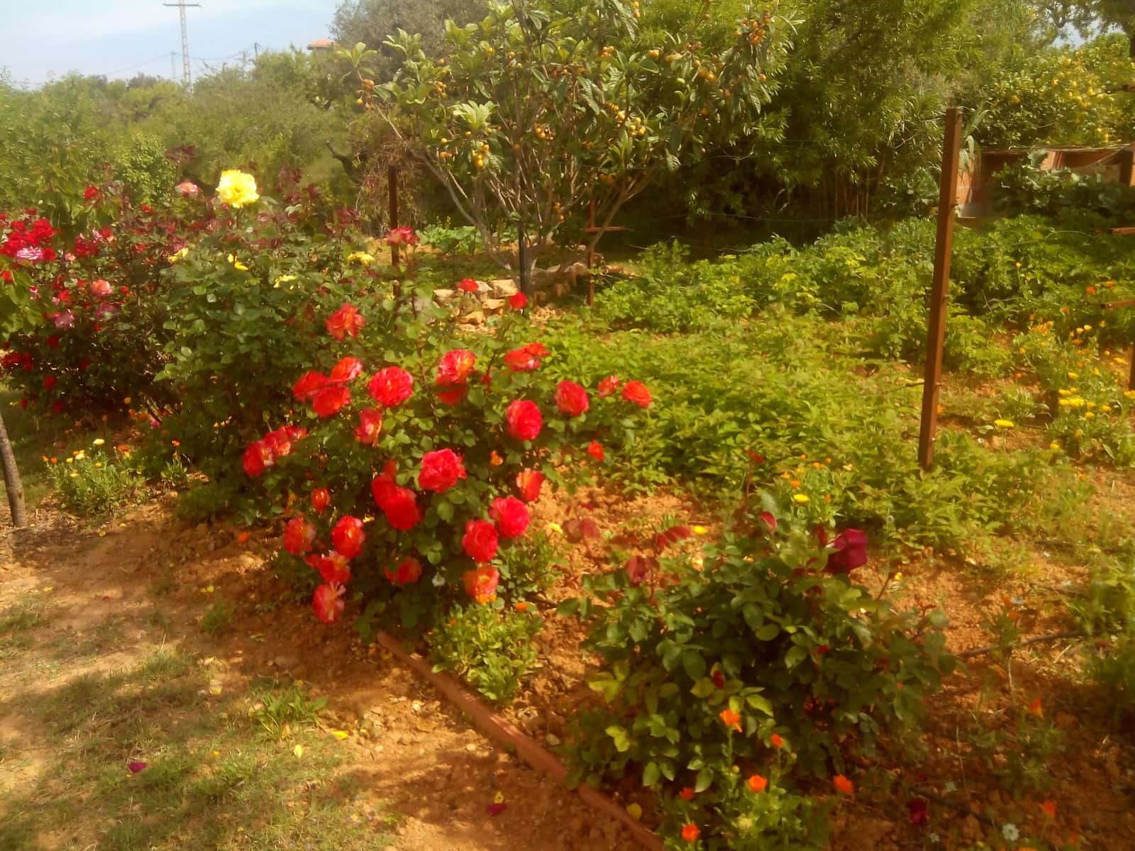 2 quarto Quinta/Casa Rural para venda em Les Coves de Vinroma com piscina garagem - 160 000 € (Ref: 6764396)