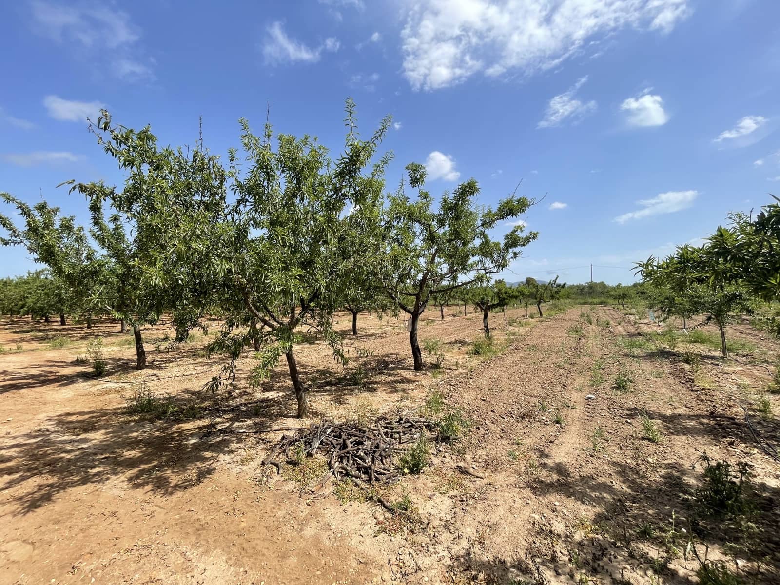 3 soverom Finca/Herregård til salgs i Torreblanca med garasje - € 180 000 (Ref: 6955655)