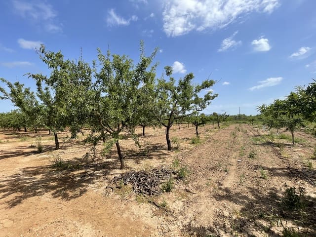 3 bedroom Finca/Country House for sale in Torreblanca with garage - € 180,000 (Ref: 6955655)