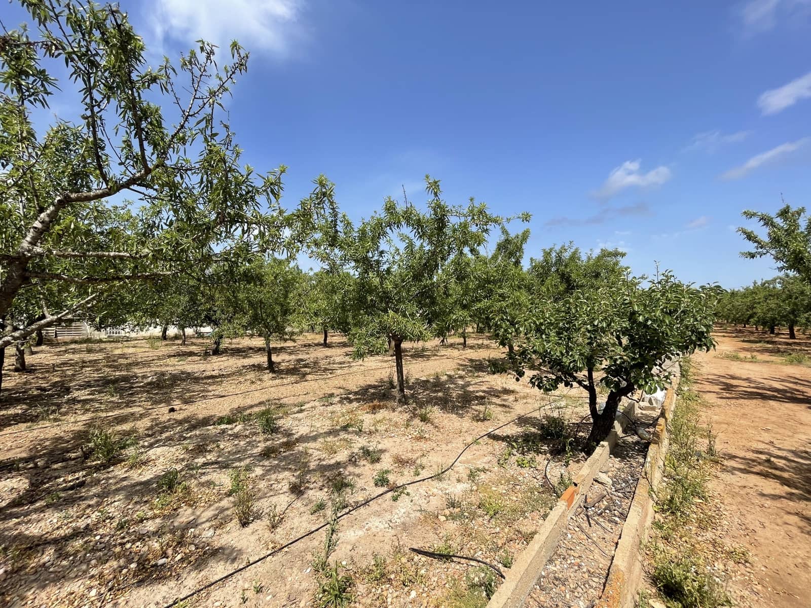 3 soverom Finca/Herregård til salgs i Torreblanca med garasje - € 180 000 (Ref: 6955655)