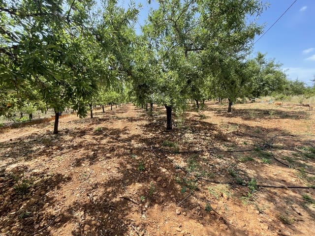 3 bedroom Finca/Country House for sale in Torreblanca with garage - € 180,000 (Ref: 6955655)