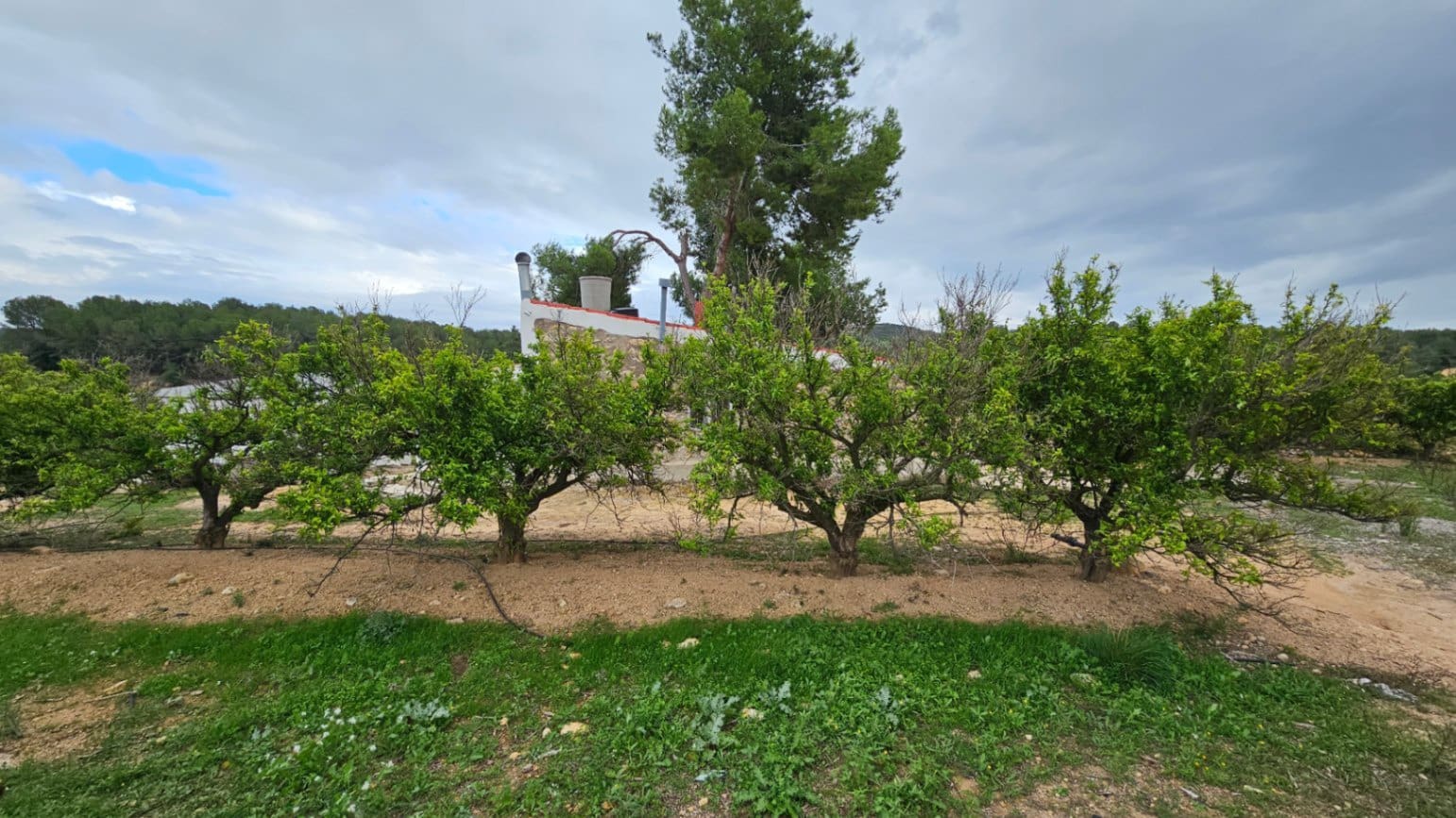 2 sovrum Finca/Hus på landet till salu i Alcala de Xivert - 240 000 € (Ref: 8617010)